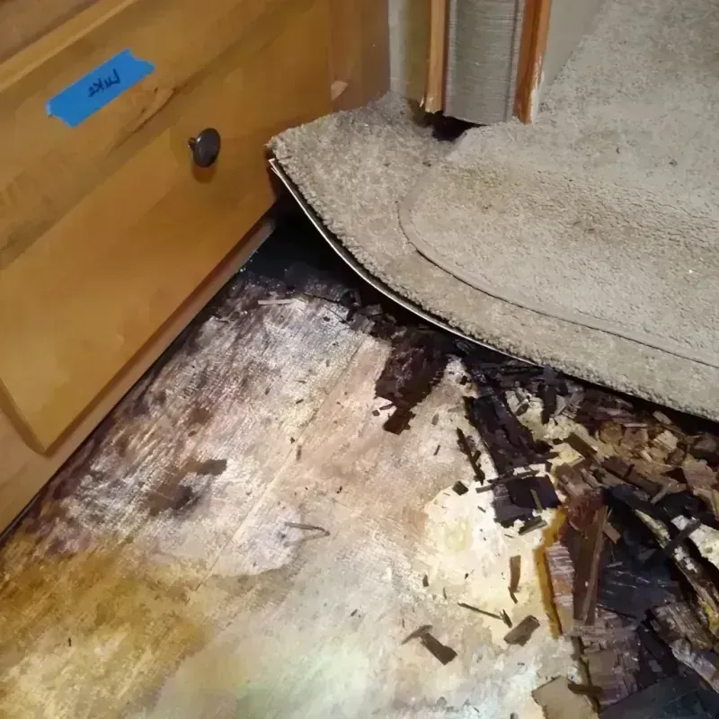 Best Wood Floor Water Damage Service in Pipestone, MN